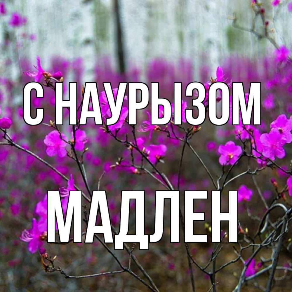 Открытка на каждый день с именем, Мадлен С наурызом дикие цветы Прикольная открытка с пожеланием онлайн скачать бесплатно 