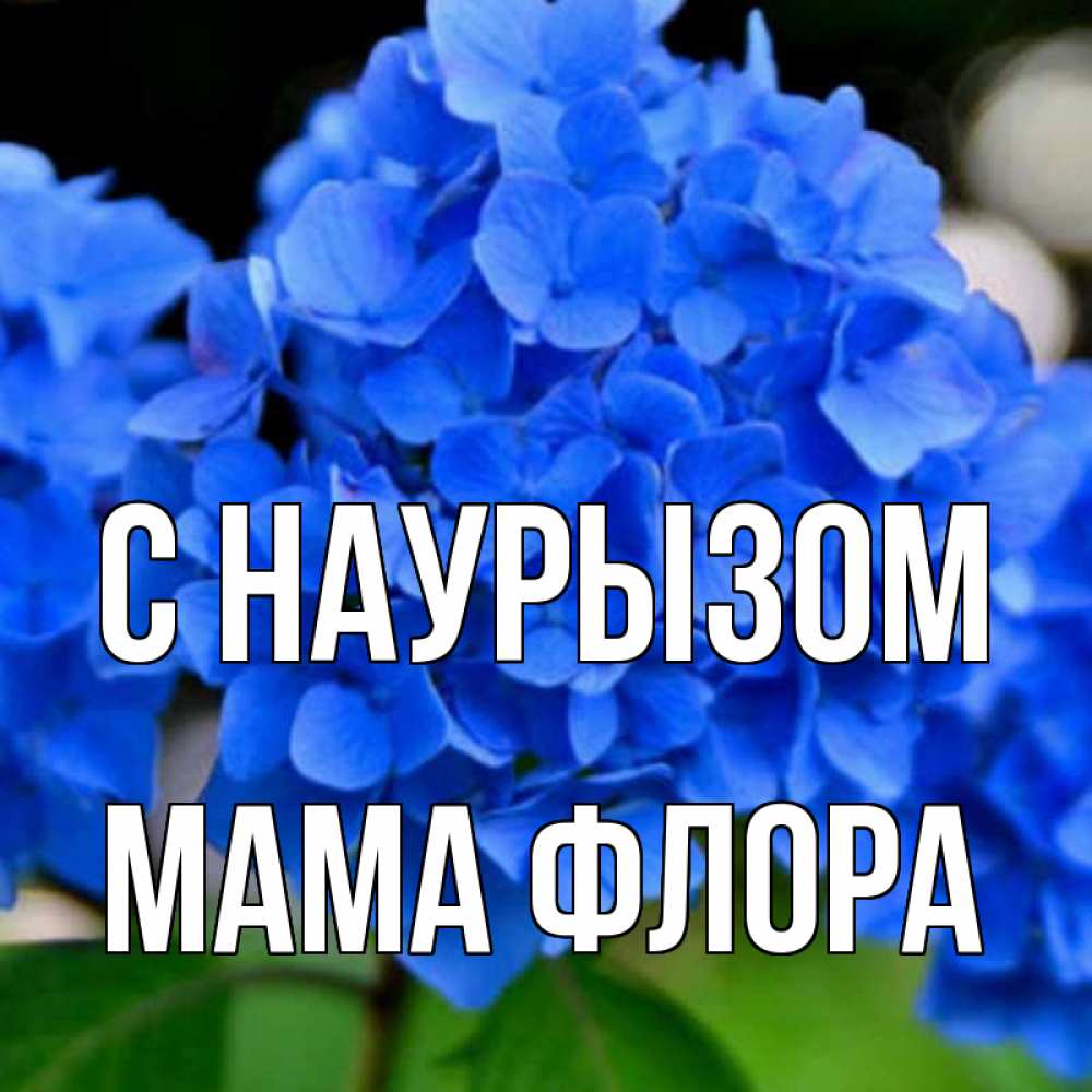 Открытка на каждый день с именем, Мама-Флора С наурызом синие цветы Прикольная открытка с пожеланием онлайн скачать бесплатно 