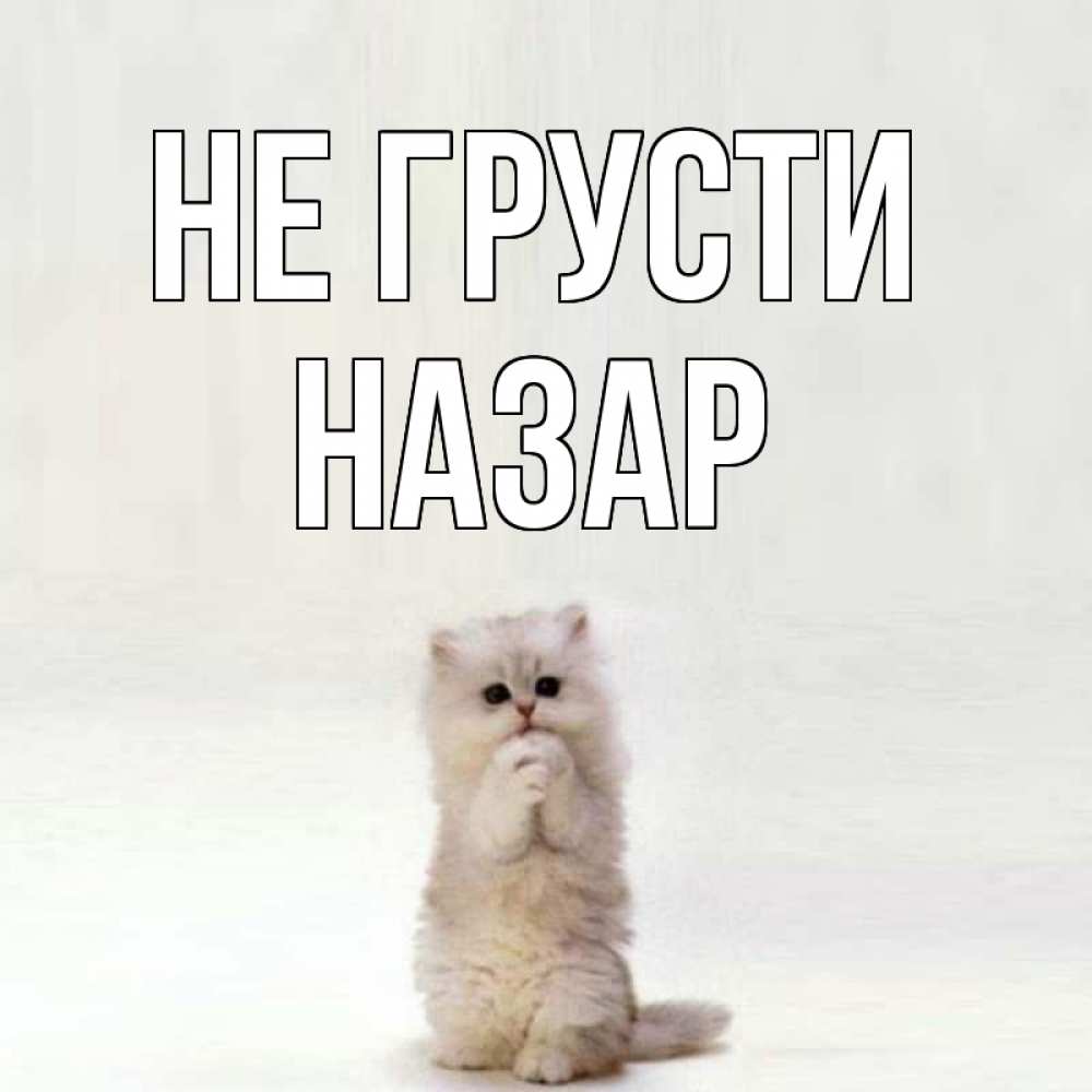 Открытка на каждый день с именем, Назар Не грусти грустный кот Прикольная открытка с пожеланием онлайн скачать бесплатно 