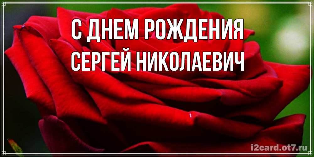 Открытка на каждый день с именем, СЕРГЕЙ-НИКОЛАЕВИЧ С днем рождения розочка очень красивая Прикольная открытка с пожеланием онлайн скачать бесплатно 