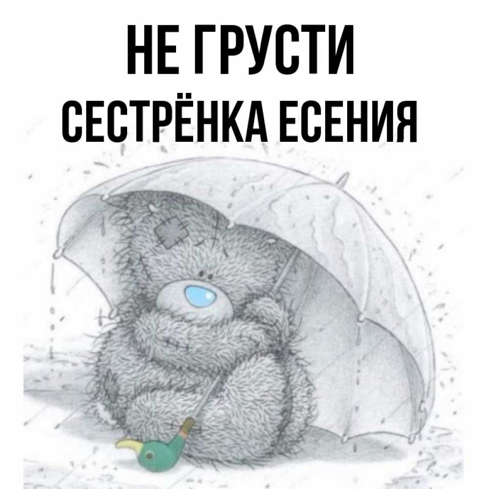 Открытка на каждый день с именем, Сестрёнка-Есения Не грусти спасите мишку Тедди Прикольная открытка с пожеланием онлайн скачать бесплатно 