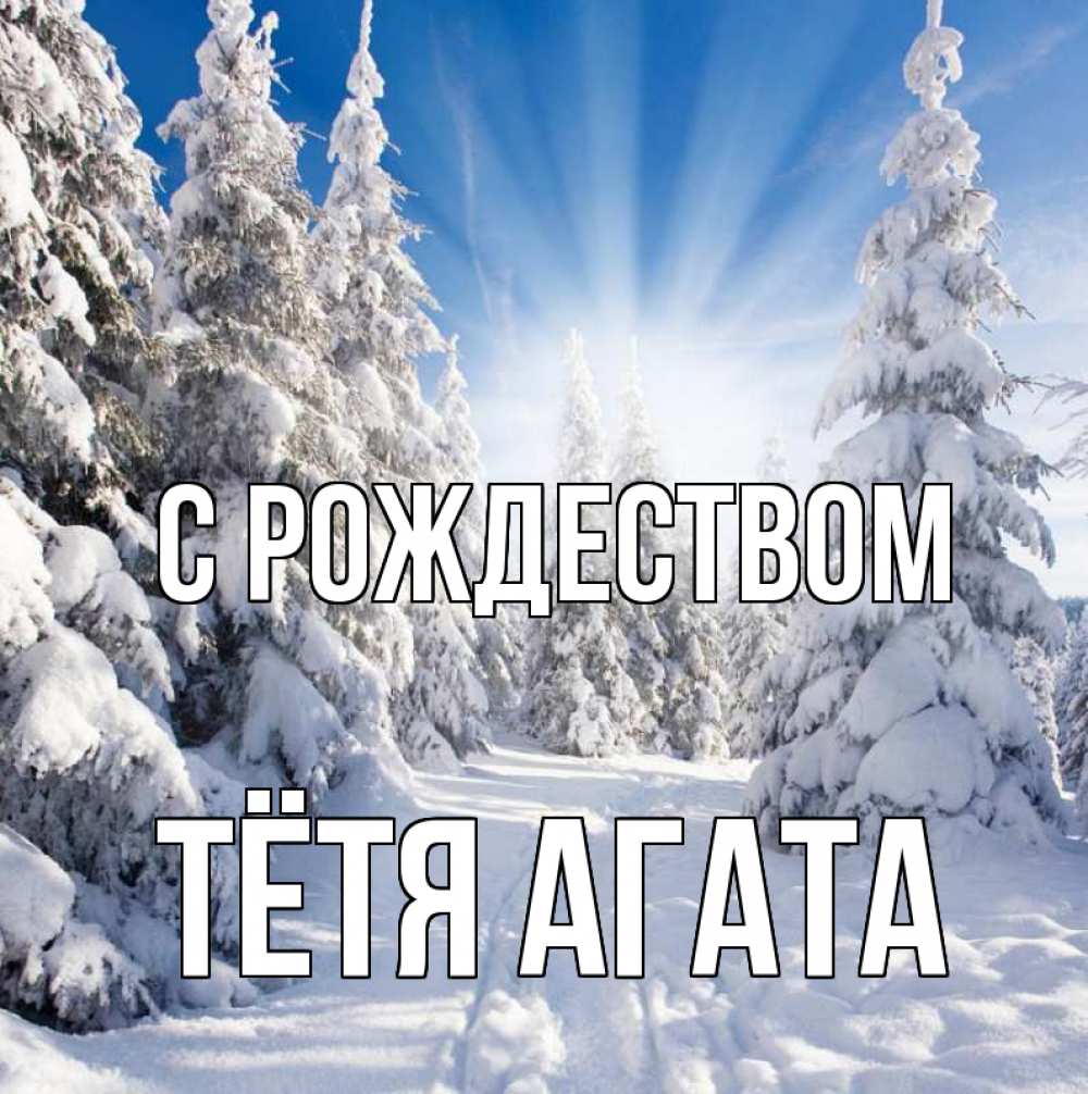 Открытка на каждый день с именем, Тётя-Агата С рождеством зима, лес Прикольная открытка с пожеланием онлайн скачать бесплатно 