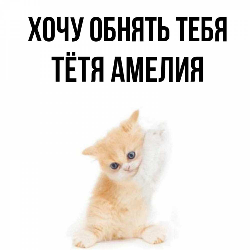 Открытка на каждый день с именем, Тётя-Амелия Хочу обнять тебя я хочу очень скорее обнимаешек Прикольная открытка с пожеланием онлайн скачать бесплатно 