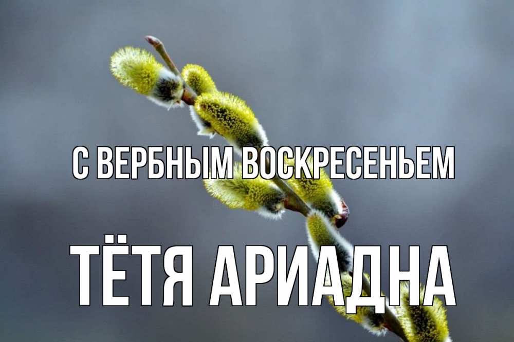 Открытка на каждый день с именем, Тётя-Ариадна С вербным воскресеньем верба Прикольная открытка с пожеланием онлайн скачать бесплатно 