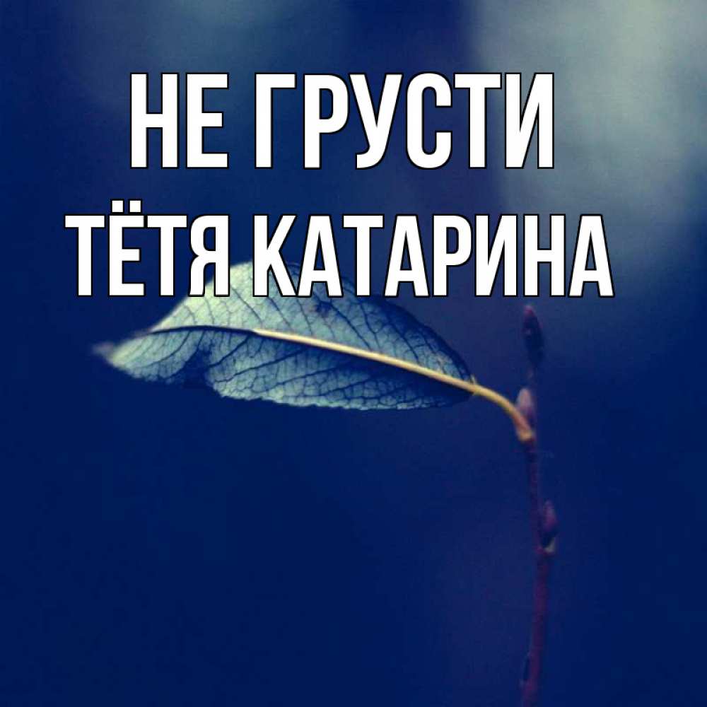 Открытка на каждый день с именем, Тётя-Катарина Не грусти растение Прикольная открытка с пожеланием онлайн скачать бесплатно 