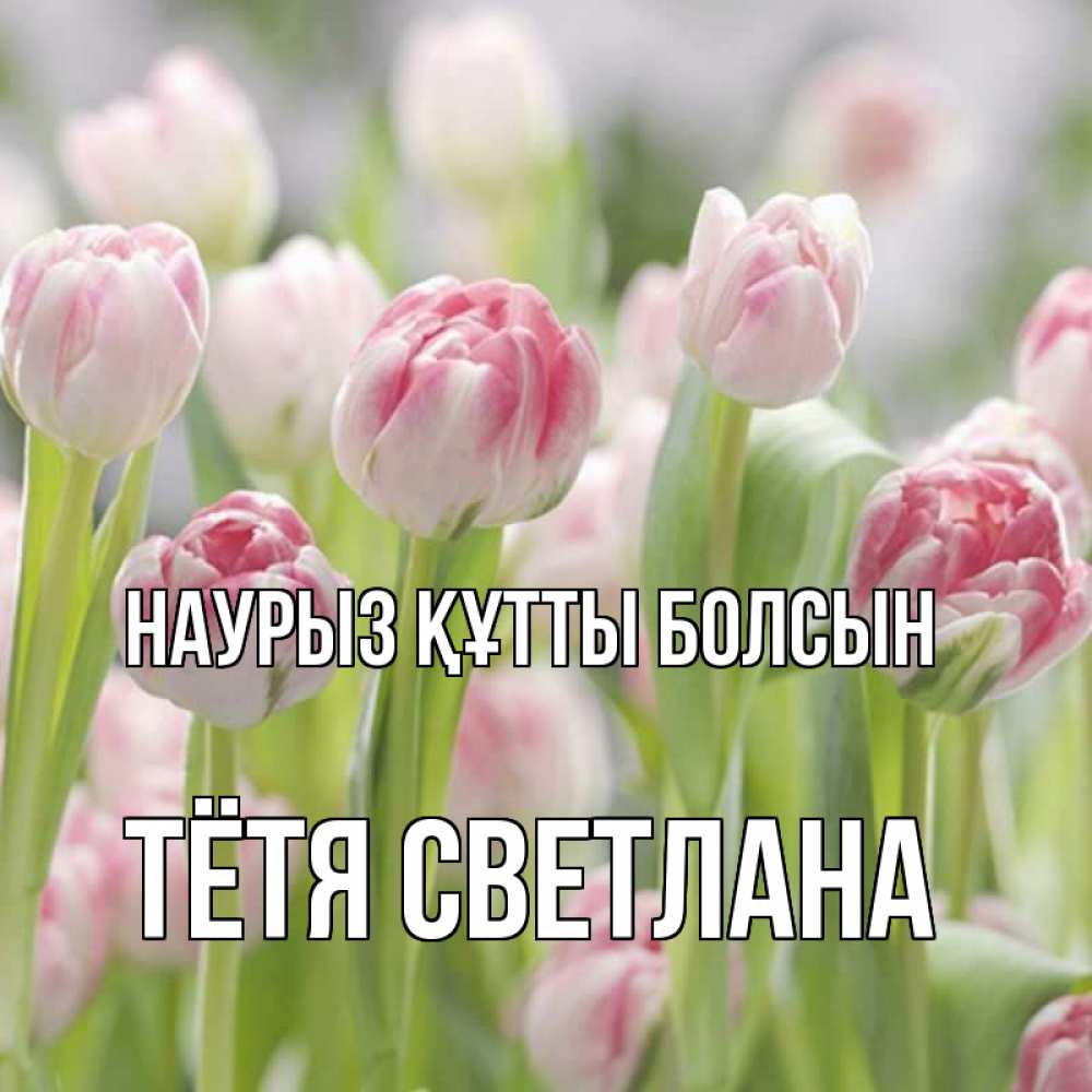 Открытка на каждый день с именем, Тётя-Светлана Наурыз құтты болсын цветы Прикольная открытка с пожеланием онлайн скачать бесплатно 