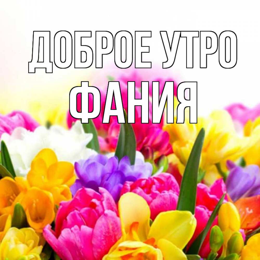 Открытка на каждый день с именем, Фания Доброе утро создать открытку со свое подписью Прикольная открытка с пожеланием онлайн скачать бесплатно 