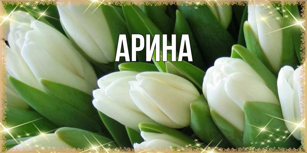 Открытка на каждый день с именем, Арина Главная поздравляем с наурызом Прикольная открытка с пожеланием онлайн скачать бесплатно 