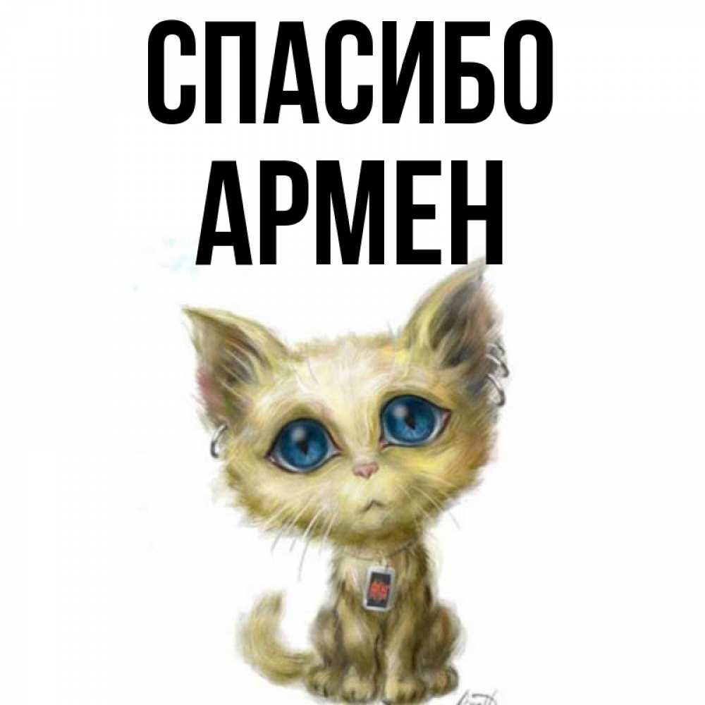 Открытка на каждый день с именем, Армен Спасибо рисованный кот благодарит вас Прикольная открытка с пожеланием онлайн скачать бесплатно 
