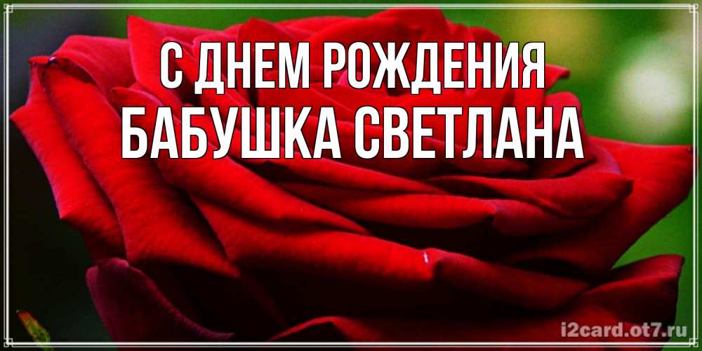 Открытка на каждый день с именем, Бабушка-Светлана С днем рождения розочка очень красивая Прикольная открытка с пожеланием онлайн скачать бесплатно 