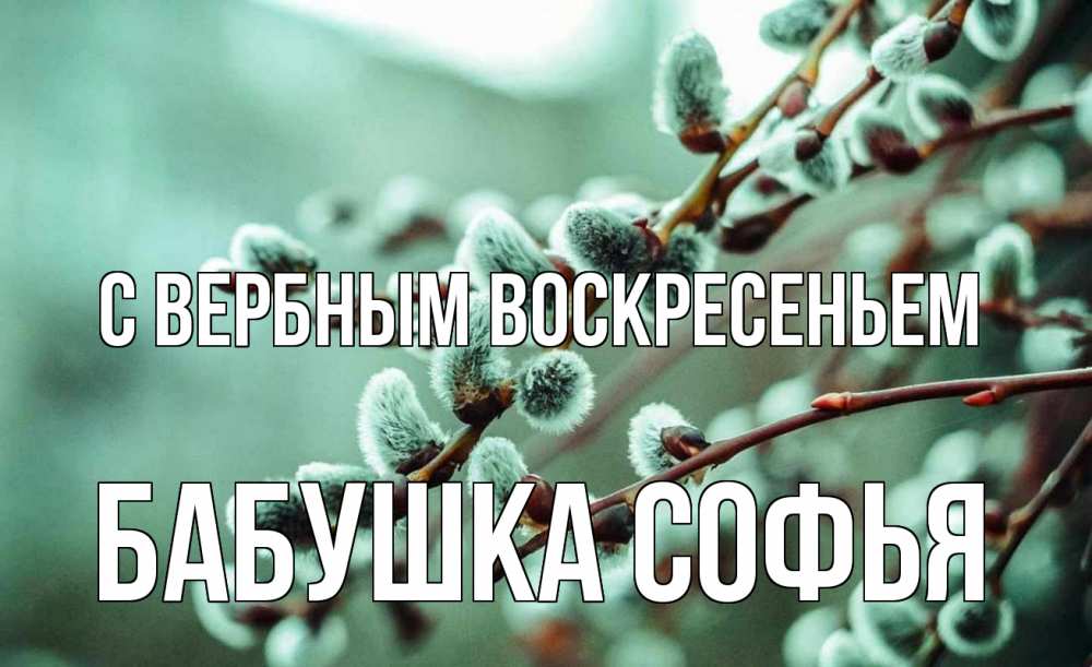 Открытка на каждый день с именем, Бабушка-Софья С вербным воскресеньем верба Прикольная открытка с пожеланием онлайн скачать бесплатно 