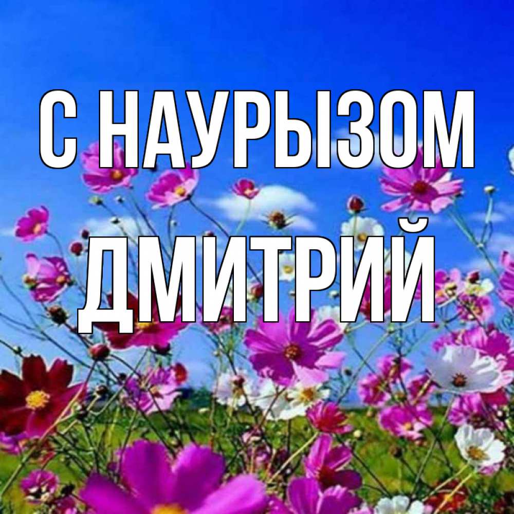 Открытка на каждый день с именем, Дмитрий С наурызом цветы Прикольная открытка с пожеланием онлайн скачать бесплатно 