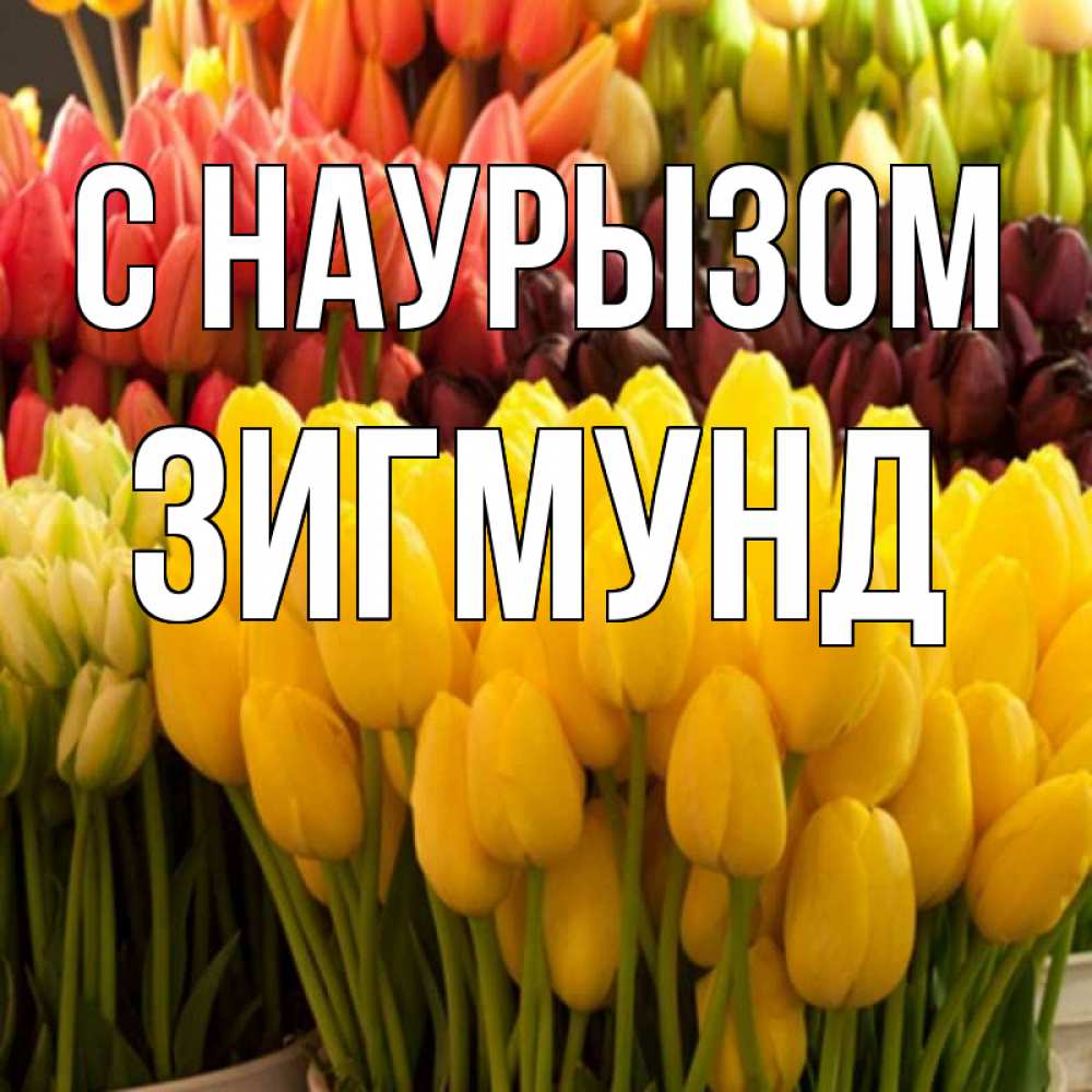 Открытка на каждый день с именем, Зигмунд С наурызом цветы Прикольная открытка с пожеланием онлайн скачать бесплатно 
