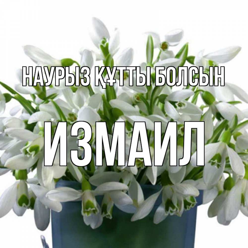 Открытка на каждый день с именем, Измаил Наурыз құтты болсын цветы к наурызу Прикольная открытка с пожеланием онлайн скачать бесплатно 