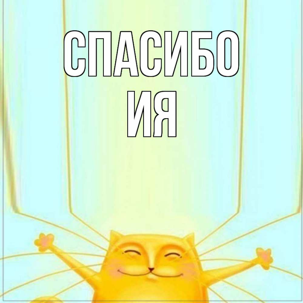 Открытка на каждый день с именем, Ия Спасибо кот с усами благодарит Прикольная открытка с пожеланием онлайн скачать бесплатно 