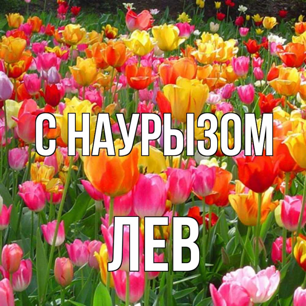Открытка на каждый день с именем, Лев С наурызом праздник весны наурыз 4 Прикольная открытка с пожеланием онлайн скачать бесплатно 