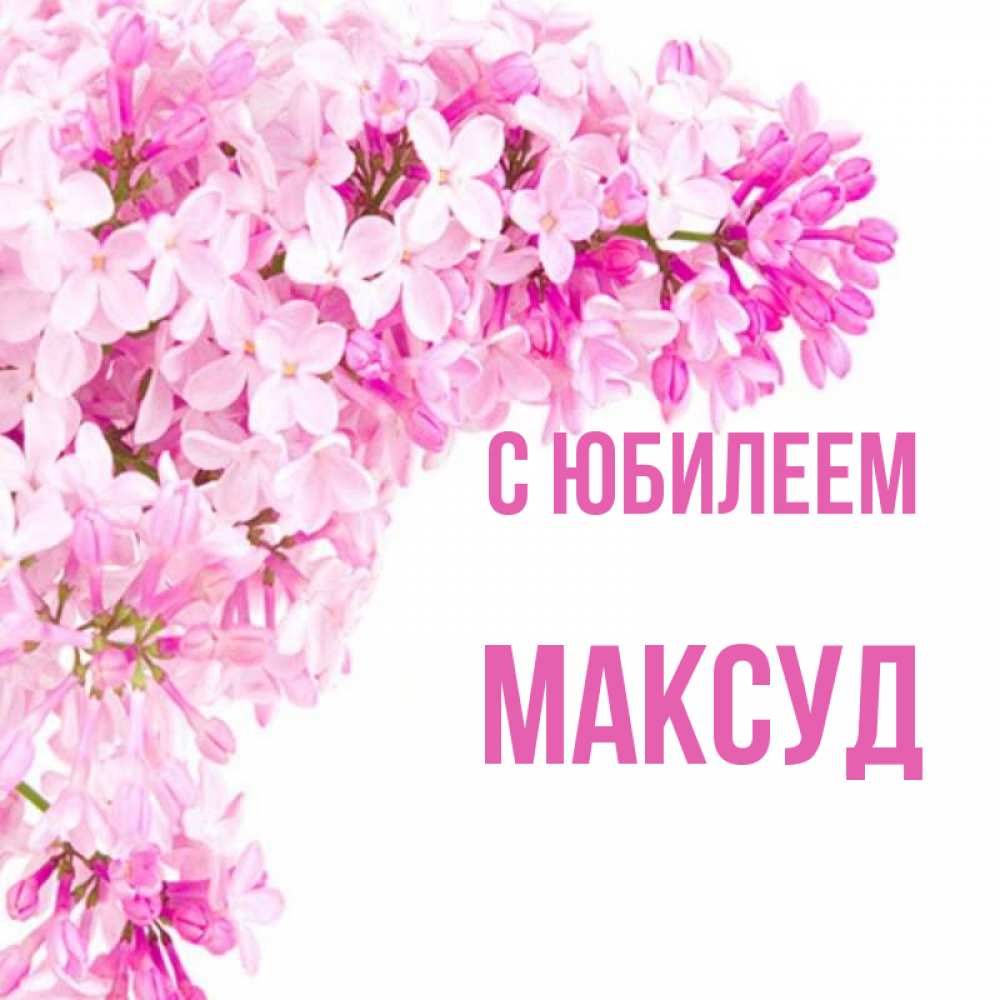 Открытка на каждый день с именем, Максуд С юбилеем Сирень на белом фоне Прикольная открытка с пожеланием онлайн скачать бесплатно 