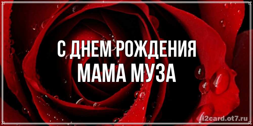 Открытка на каждый день с именем, Мама-Муза С днем рождения крупная бордовая роза Прикольная открытка с пожеланием онлайн скачать бесплатно 