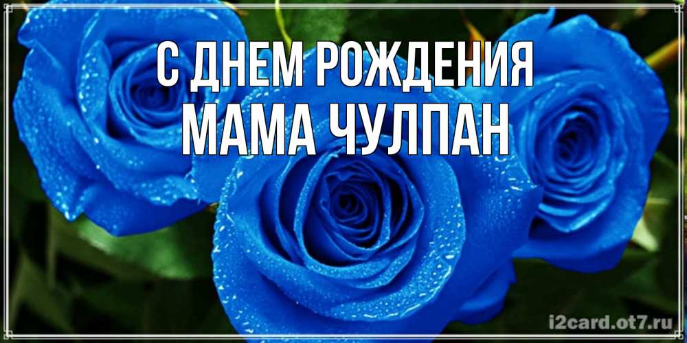 Открытка на каждый день с именем, Мама-Чулпан С днем рождения розы с синим цветом Прикольная открытка с пожеланием онлайн скачать бесплатно 