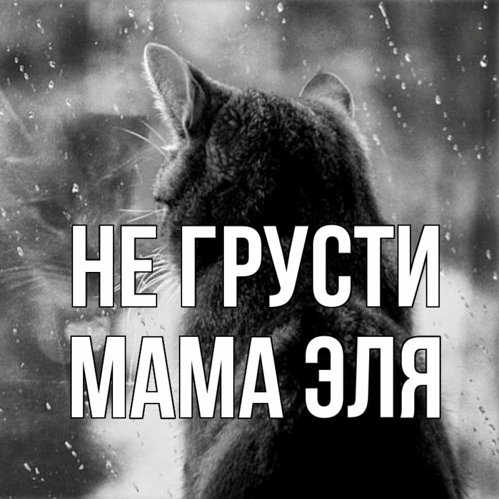 Открытка на каждый день с именем, Мама-Эля Не грусти отражение кота 1 Прикольная открытка с пожеланием онлайн скачать бесплатно 