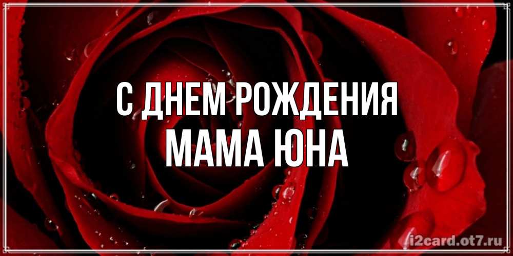 Открытка на каждый день с именем, Мама-Юна С днем рождения крупная бордовая роза Прикольная открытка с пожеланием онлайн скачать бесплатно 