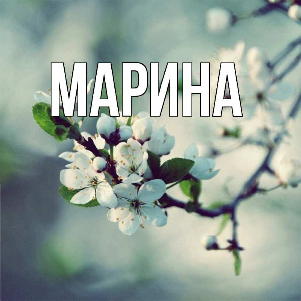Открытка на каждый день с именем, Марина Главная яблоня в цвету 1 Прикольная открытка с пожеланием онлайн скачать бесплатно 