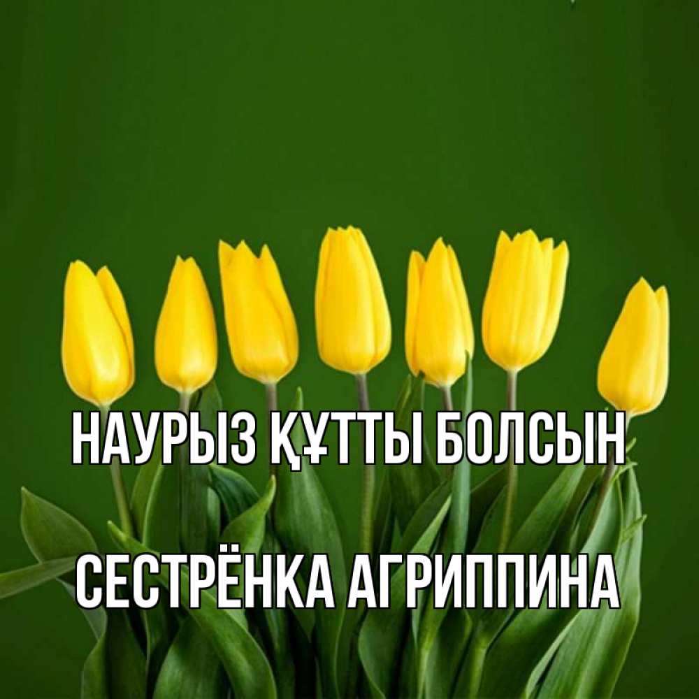 Открытка на каждый день с именем, Сестрёнка-Агриппина Наурыз құтты болсын желтого цвета 3 Прикольная открытка с пожеланием онлайн скачать бесплатно 