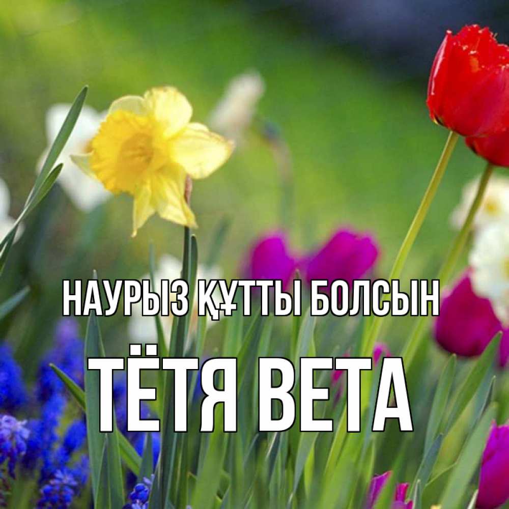 Открытка на каждый день с именем, Тётя-Вета Наурыз құтты болсын наурыз  3 открытки Прикольная открытка с пожеланием онлайн скачать бесплатно 