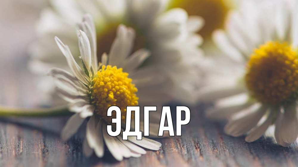 Открытка на каждый день с именем, Эдгар Главная с днем семьи Прикольная открытка с пожеланием онлайн скачать бесплатно 