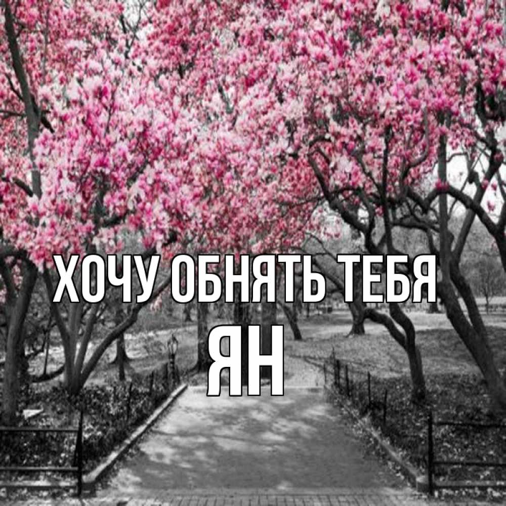 Открытка на каждый день с именем, Ян Хочу обнять тебя обработанное фото Прикольная открытка с пожеланием онлайн скачать бесплатно 