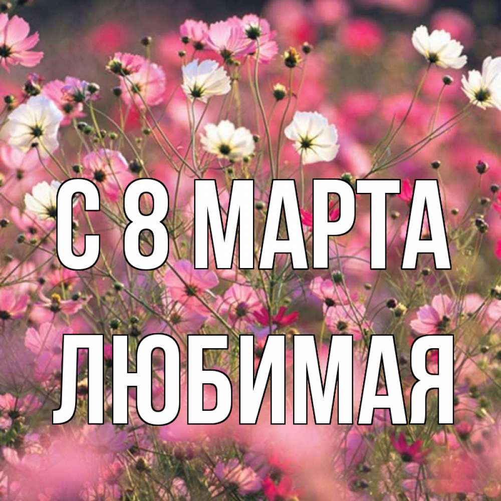 Открытка на каждый день с именем, любимая С 8 марта красиво 1 Прикольная открытка с пожеланием онлайн скачать бесплатно 