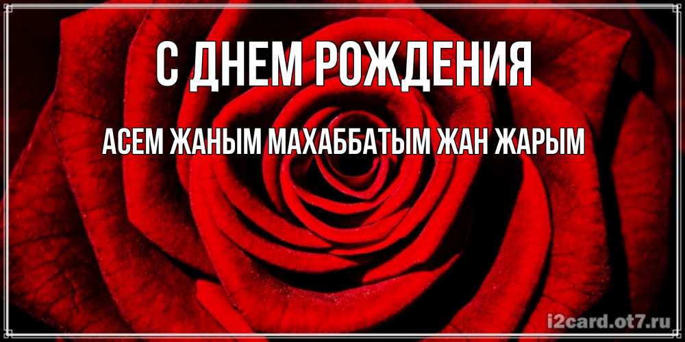Открытка на каждый день с именем, Асем-жаным-Махаббатым-жан-жарым С днем рождения алая роза Прикольная открытка с пожеланием онлайн скачать бесплатно 
