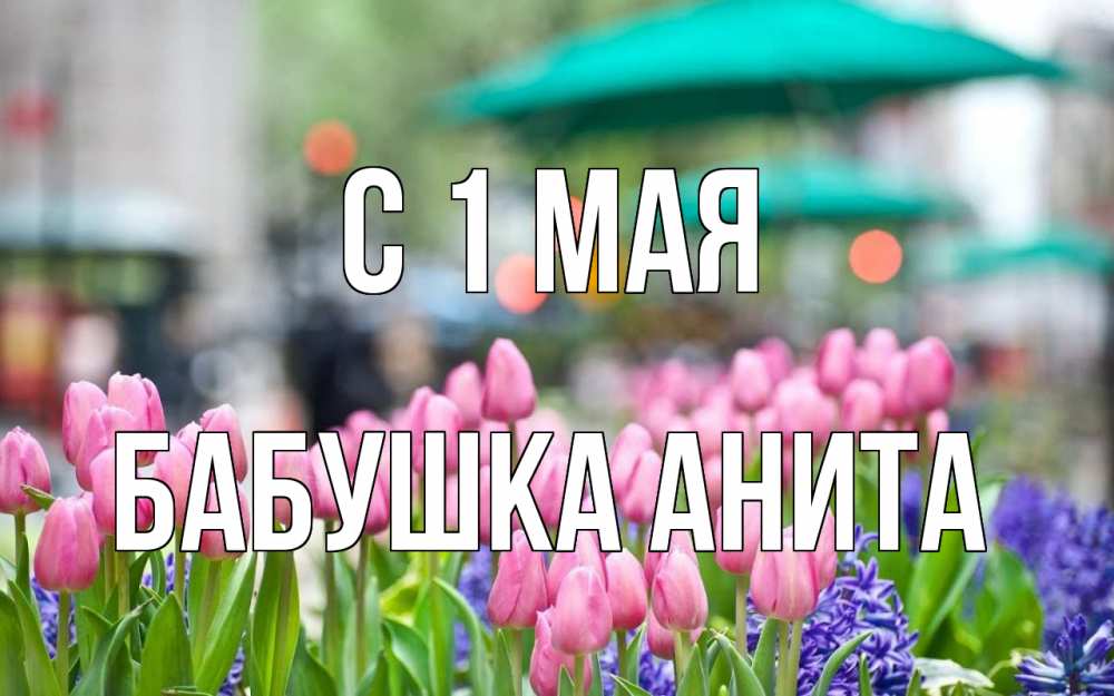 Открытка на каждый день с именем, Бабушка-Анита С 1 мая С 1 мая Прикольная открытка с пожеланием онлайн скачать бесплатно 
