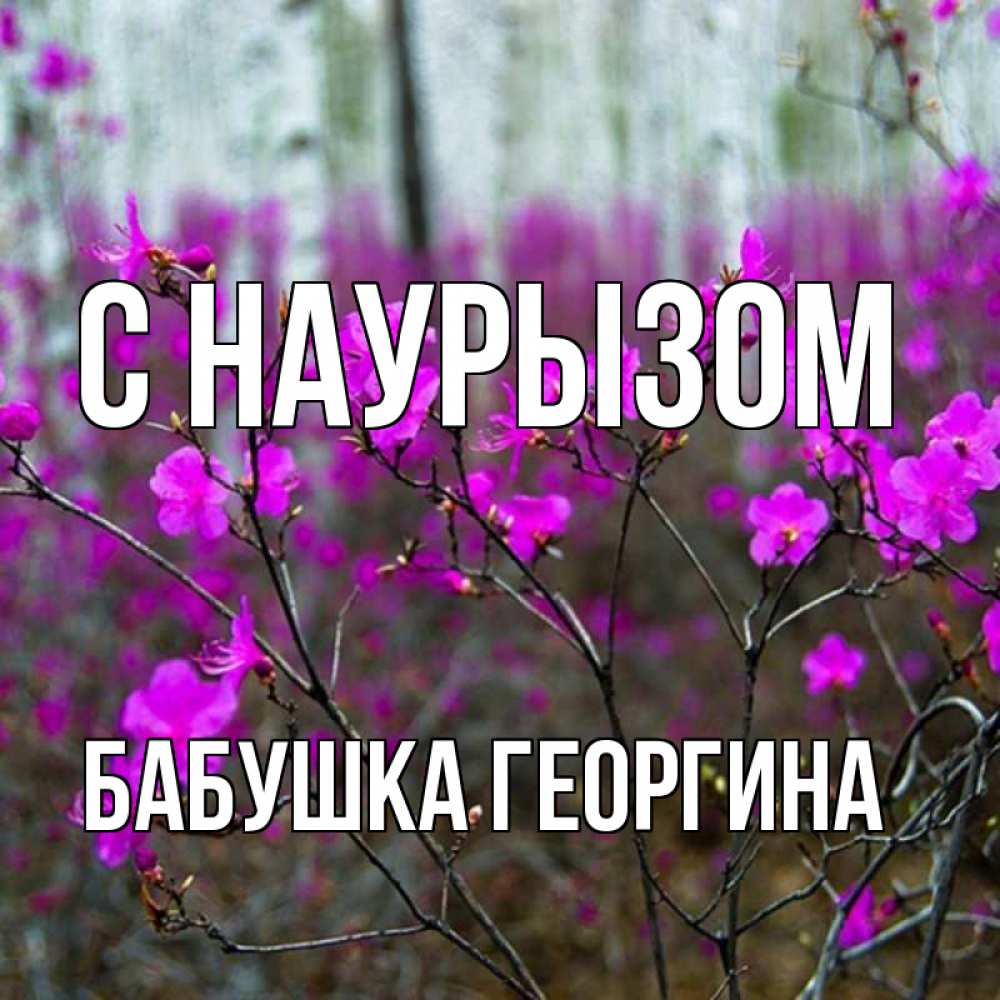 Открытка на каждый день с именем, Бабушка-Георгина С наурызом дикие цветы Прикольная открытка с пожеланием онлайн скачать бесплатно 