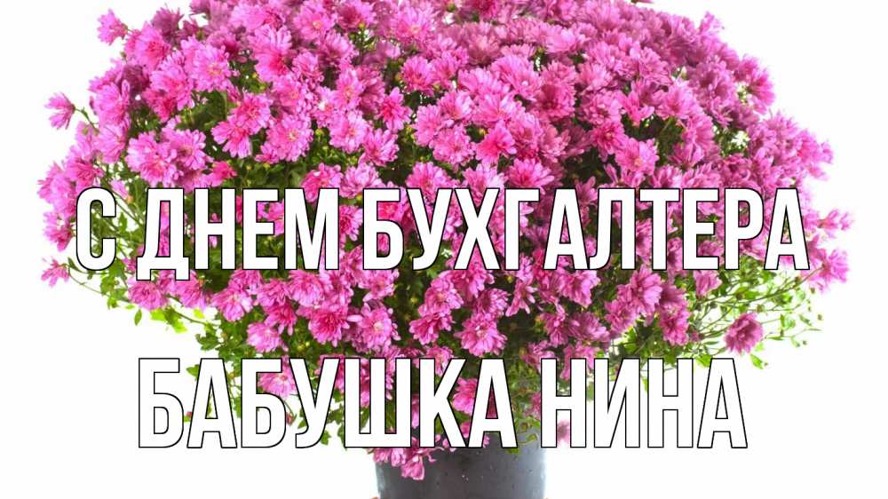 Открытка на каждый день с именем, Бабушка-Нина С днем бухгалтера с днем бухгалтера Прикольная открытка с пожеланием онлайн скачать бесплатно 
