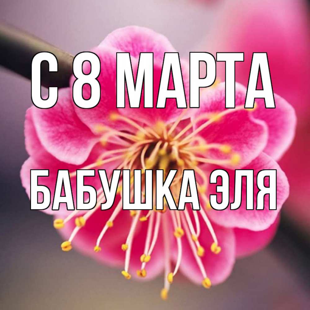 Открытка на каждый день с именем, Бабушка-Эля С 8 МАРТА цветы Прикольная открытка с пожеланием онлайн скачать бесплатно 