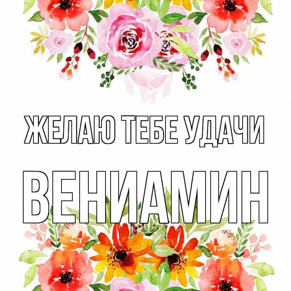 Открытка на каждый день с именем, Вениамин Желаю тебе удачи открытка с цветами акварелью Прикольная открытка с пожеланием онлайн скачать бесплатно 