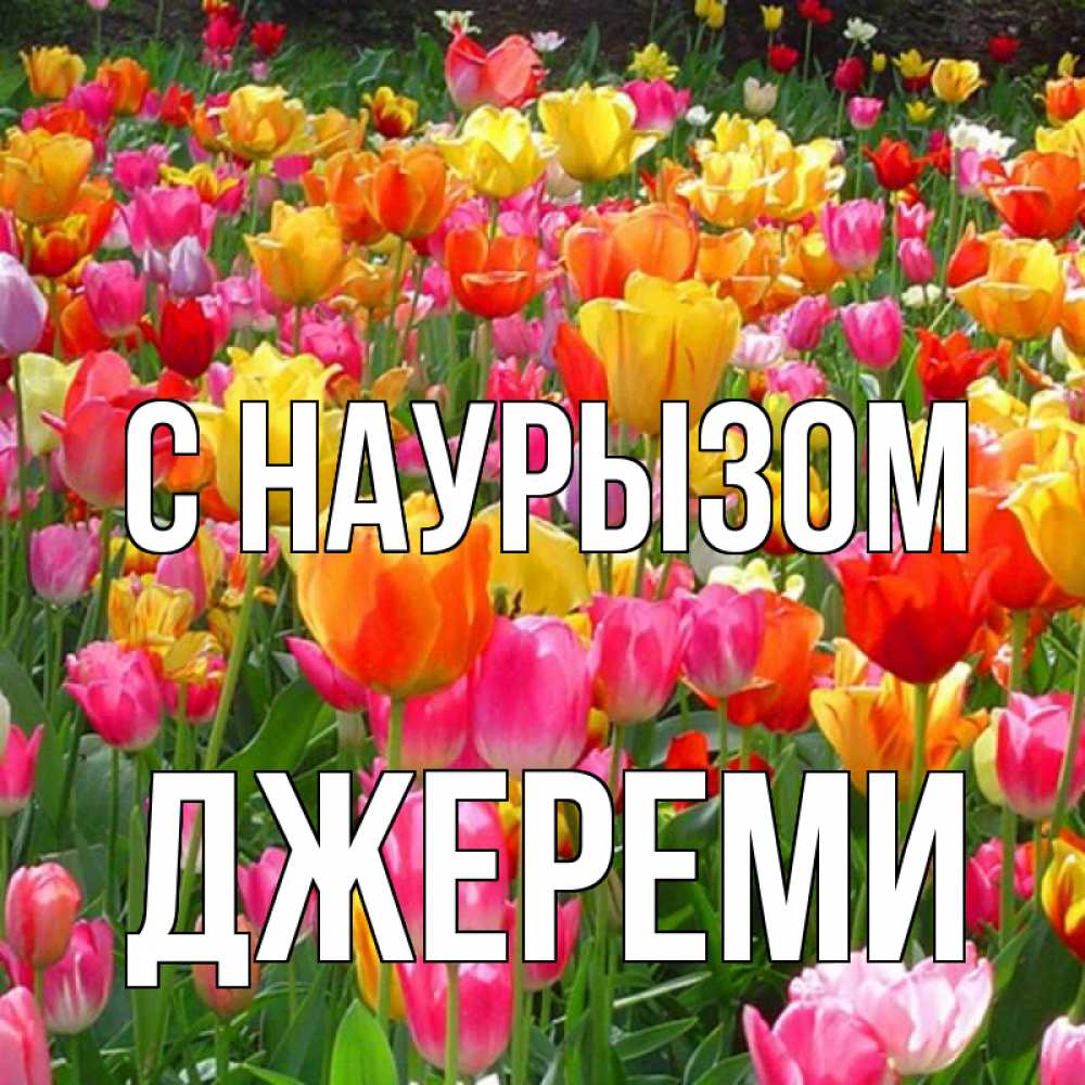 Открытка на каждый день с именем, Джереми С наурызом праздник весны наурыз 4 Прикольная открытка с пожеланием онлайн скачать бесплатно 