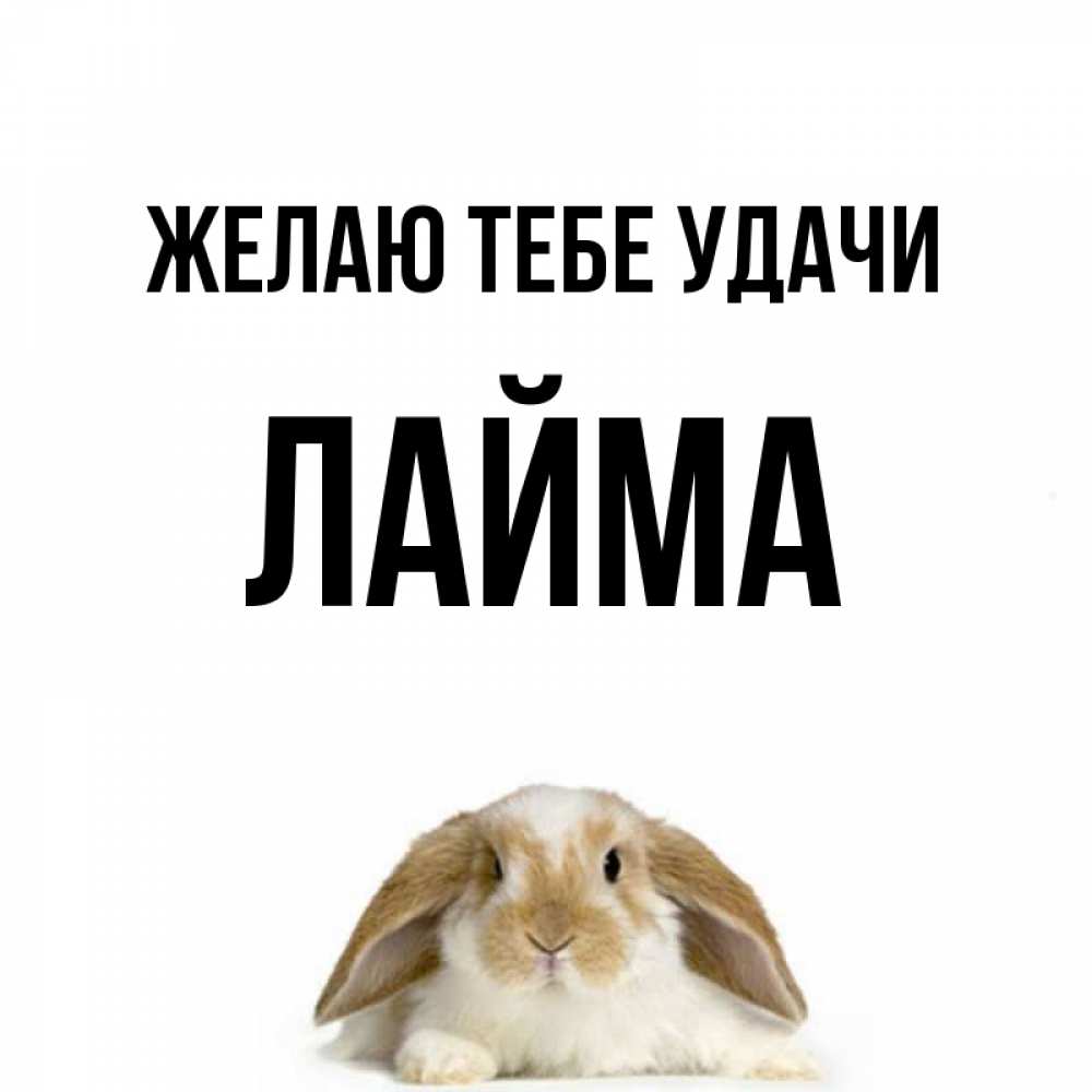 Открытка на каждый день с именем, Лайма Желаю тебе удачи открытки с произвольным текстом который можно вставить в открытку и создать ее самостоятельно бесплатно онлайн Прикольная открытка с пожеланием онлайн скачать бесплатно 