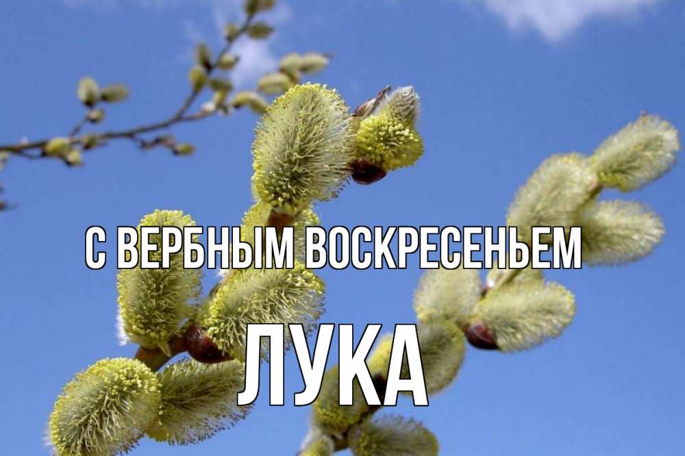 Открытка на каждый день с именем, Лука С вербным воскресеньем верба Прикольная открытка с пожеланием онлайн скачать бесплатно 