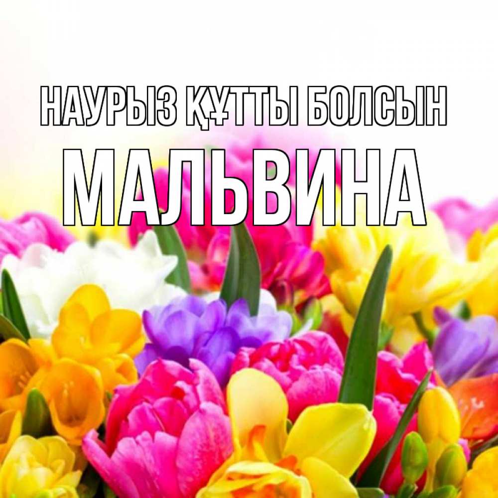 Открытка на каждый день с именем, Мальвина Наурыз құтты болсын тюльпаны Прикольная открытка с пожеланием онлайн скачать бесплатно 
