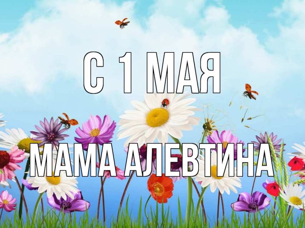 Открытка на каждый день с именем, Мама-Алевтина С 1 мая С 1 мая Прикольная открытка с пожеланием онлайн скачать бесплатно 