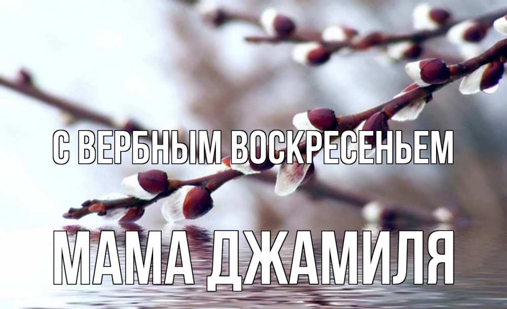 Открытка на каждый день с именем, Мама-Джамиля С вербным воскресеньем верба, ручей Прикольная открытка с пожеланием онлайн скачать бесплатно 