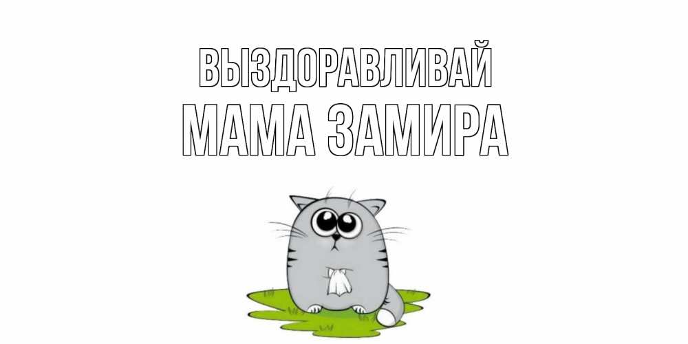 Открытка на каждый день с именем, Мама-Замира Выздоравливай кот и открытки про выздоровление Прикольная открытка с пожеланием онлайн скачать бесплатно 