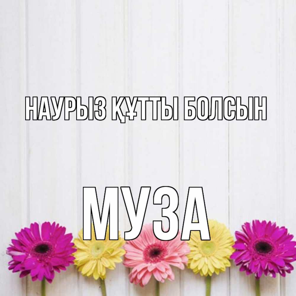 Открытка на каждый день с именем, Муза Наурыз құтты болсын женщинам 1 Прикольная открытка с пожеланием онлайн скачать бесплатно 