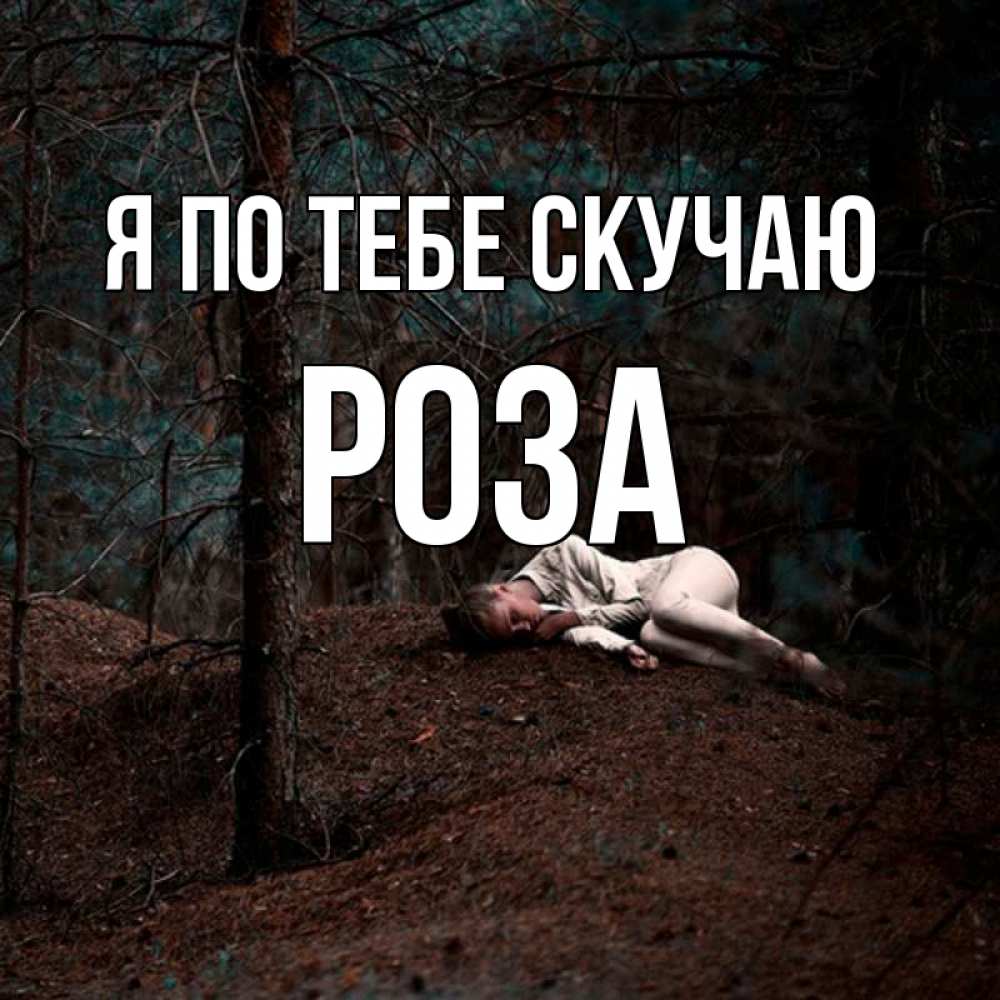 Открытка на каждый день с именем, Роза Я по тебе скучаю очень Прикольная открытка с пожеланием онлайн скачать бесплатно 