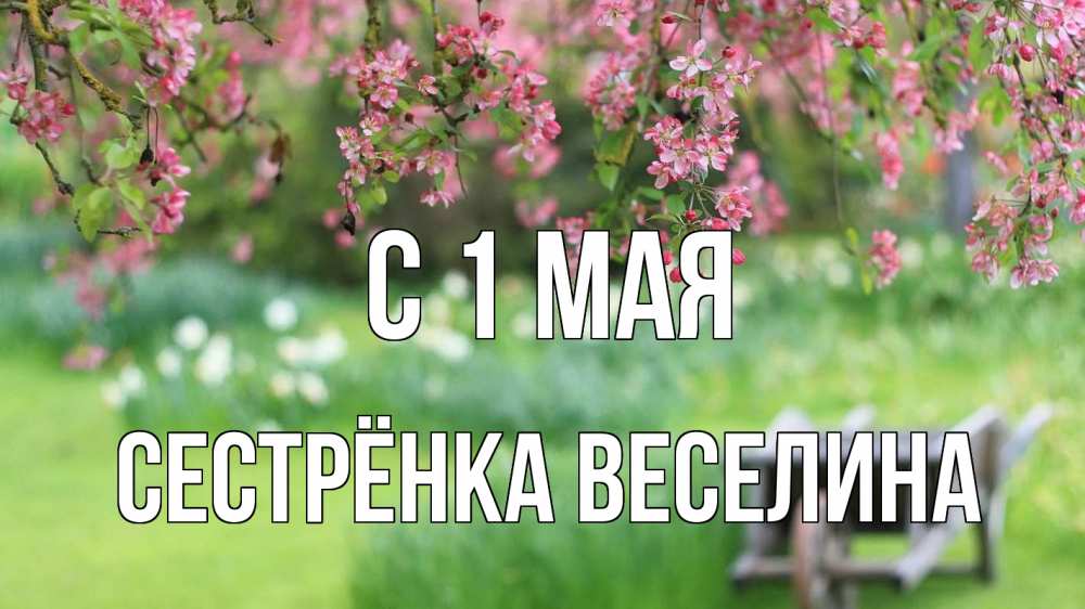Открытка на каждый день с именем, Сестрёнка-Веселина С 1 мая С 1 мая Прикольная открытка с пожеланием онлайн скачать бесплатно 