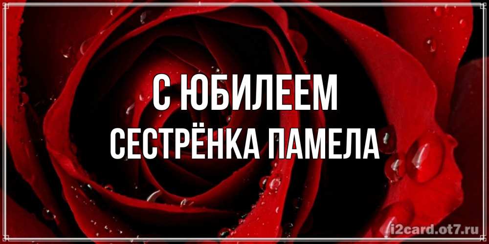 Открытка на каждый день с именем, Сестрёнка-Памела С юбилеем крупная бордовая роза Прикольная открытка с пожеланием онлайн скачать бесплатно 