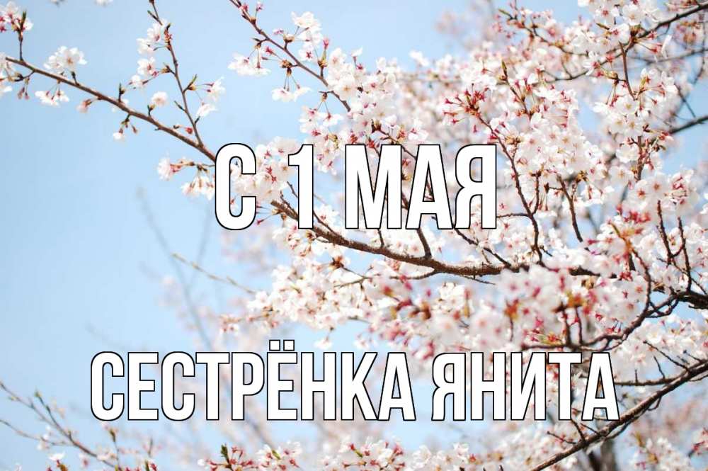 Открытка на каждый день с именем, Сестрёнка-Янита С 1 мая С 1 мая Прикольная открытка с пожеланием онлайн скачать бесплатно 