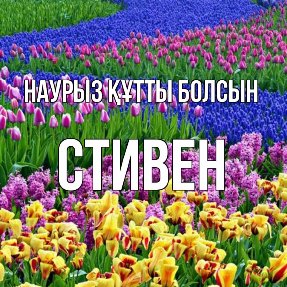 Открытка на каждый день с именем, Стивен Наурыз құтты болсын цветы Прикольная открытка с пожеланием онлайн скачать бесплатно 